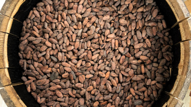 beans